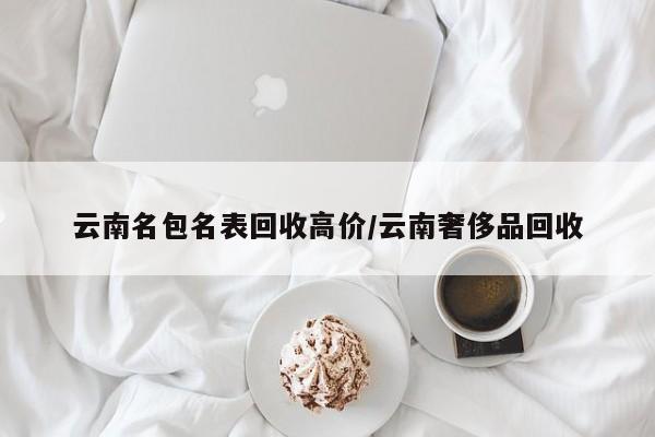 云南名包名表回收高价/云南奢侈品回收