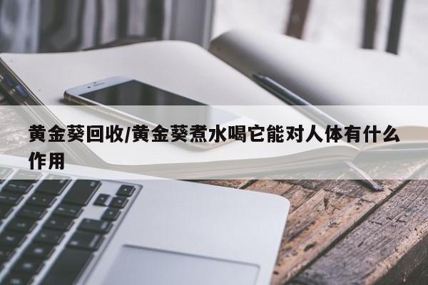 黄金葵回收/黄金葵煮水喝它能对人体有什么作用